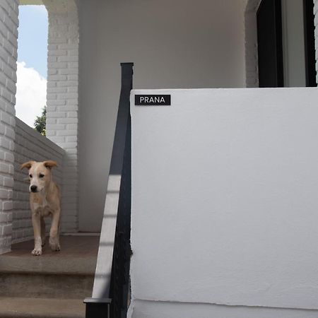 Casa Naamja Hotel เตโปซตลัน ภายนอก รูปภาพ